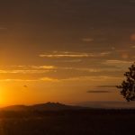 Marcilla Turismo, El entorno natural