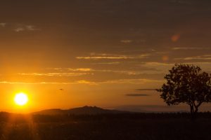Marcilla Turismo, El entorno natural