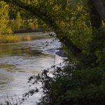 Marcilla Turismo, El entorno natural