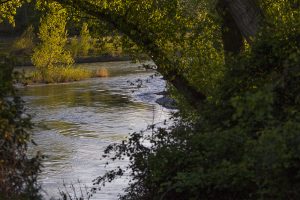 Marcilla Turismo, El entorno natural