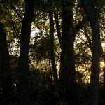 Marcilla Turismo, El entorno natural