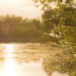 Marcilla Turismo, El entorno natural