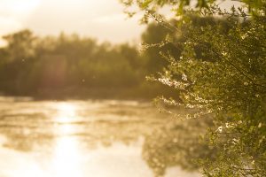 Marcilla Turismo, El entorno natural