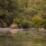 Marcilla Turismo, El entorno natural