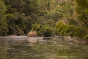 Marcilla Turismo, El entorno natural