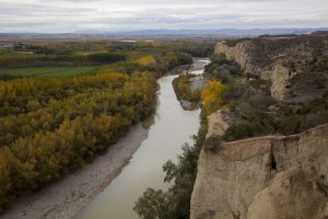 Marcilla Turismo, Los cortados
