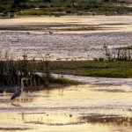 Marcilla Turismo, Sotocontiendas