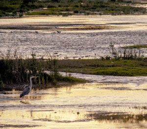 Marcilla Turismo, Sotocontiendas