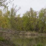 Marcilla Turismo, Sotocontiendas