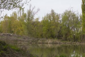 Marcilla Turismo, Sotocontiendas