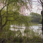 Marcilla Turismo, Sotocontiendas