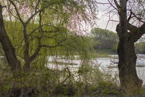 Marcilla Turismo, Sotocontiendas