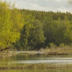 Marcilla Turismo, Sotocontiendas