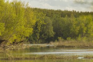 Marcilla Turismo, Sotocontiendas