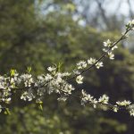 Marcilla Turismo, Sotocontiendas