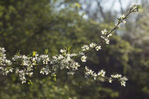 Marcilla Turismo, Sotocontiendas