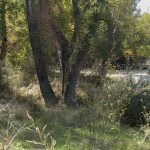 Marcilla Turismo, Sotocontiendas