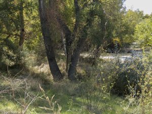 Marcilla Turismo, Sotocontiendas