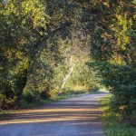 Marcilla Turismo, Camino Verde RAN