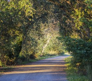 Marcilla Turismo, Camino Verde RAN