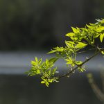Marcilla Turismo, Camino Verde Ribera Alta de Navarra