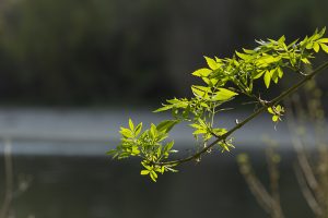 Marcilla Turismo, Camino Verde Ribera Alta de Navarra