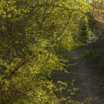 Marcilla Turismo, Camino Verde Ribera Alta de Navarra