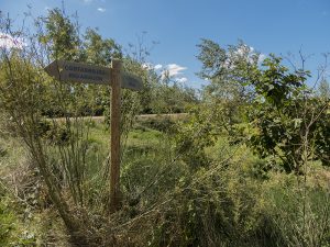 Marcilla Turismo, Camino Verde Ribera Alta de Navarra
