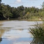 Marcilla Turismo, Zonas de baño