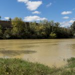 Marcilla Turismo, Zonas de baño
