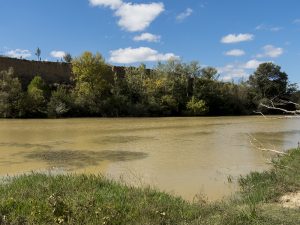 Marcilla Turismo, Zonas de baño