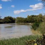 Marcilla Turismo, Zonas de baño