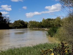 Marcilla Turismo, Zonas de baño
