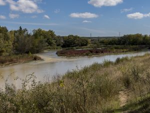 Marcilla Turismo, Zonas de baño