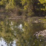 Marcilla Turismo, Zonas de baño