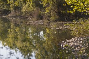 Marcilla Turismo, Zonas de baño