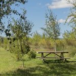 Marcilla Turismo, Merenderos