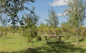 Marcilla Turismo, Merenderos