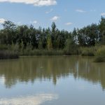 Marcilla Turismo, Merenderos