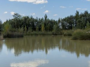 Marcilla Turismo, Merenderos