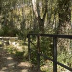 Marcilla Turismo, Merenderos