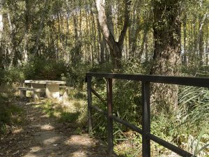 Marcilla Turismo, Merenderos