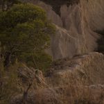 Marcilla Turismo, El montico