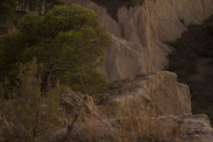 Marcilla Turismo, El montico