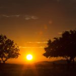 Marcilla Turismo, El montico