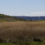 Marcilla Turismo, El montico