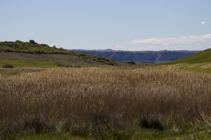 Marcilla Turismo, El montico