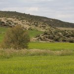 Marcilla Turismo, El montico