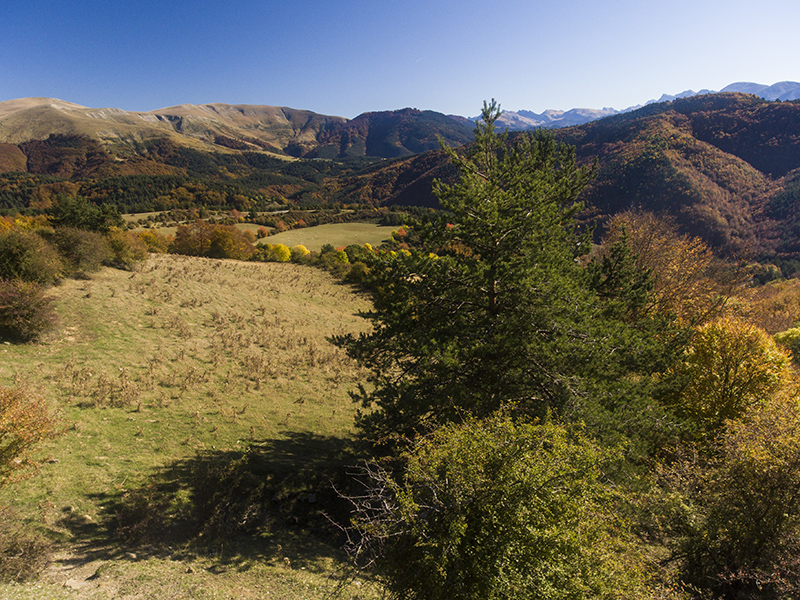 Marcilla Turismo, El Pirineo
