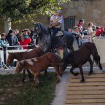 Marcilla Turismo, Nuestras ferias